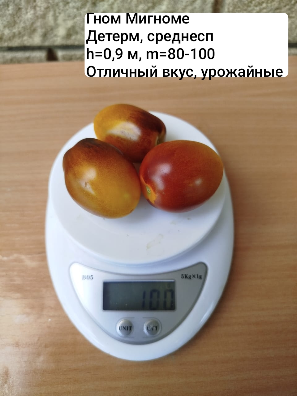 Семена коллекционных томатов Гном Мигноме (10 шт)