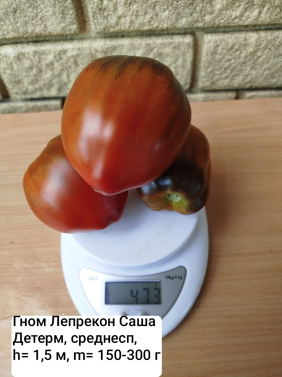 Семена коллекционных томатов Гном Лепрекон Саша (10 шт)