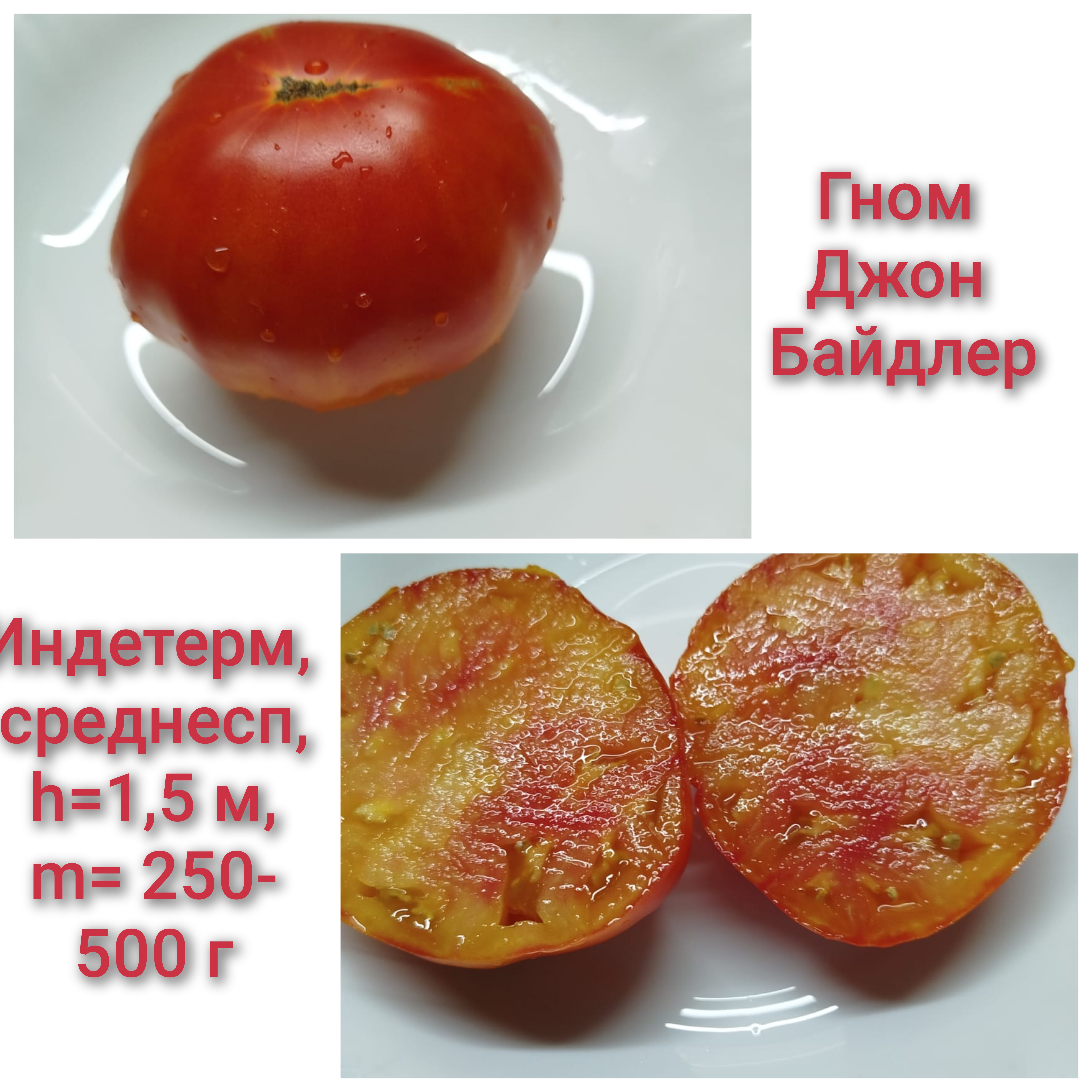 Семена коллекционных томатов Гном Джон Бейдлер (10 шт)
