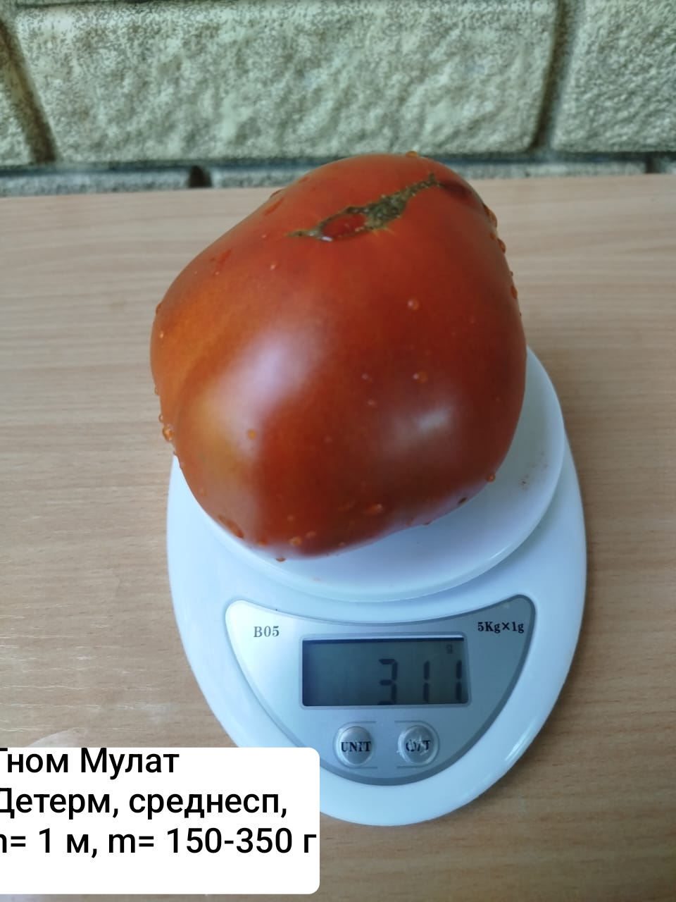 Коллекционные семена томатов Гном Мулат