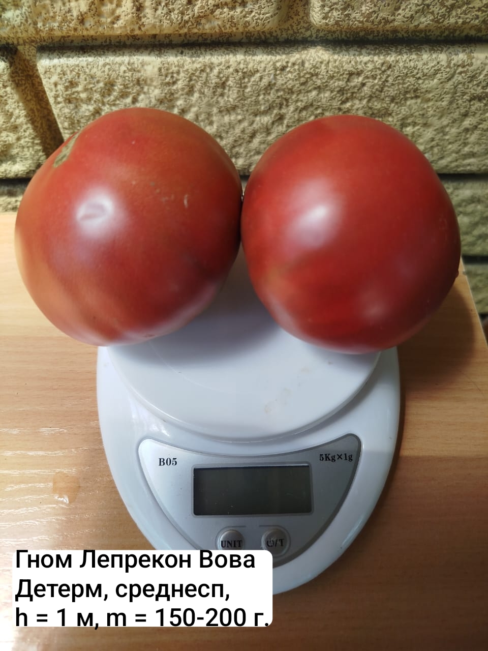 Коллекционные семена томатов Гном Лепрекон Вова ( 10 шт)