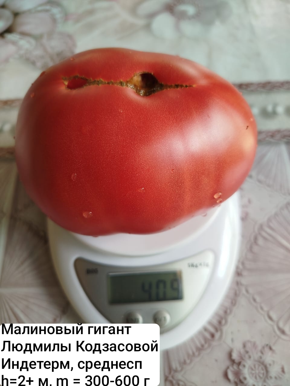 Коллекционные семена томата Малиновый гигант Людмилы Кодзасовой (10 шт)