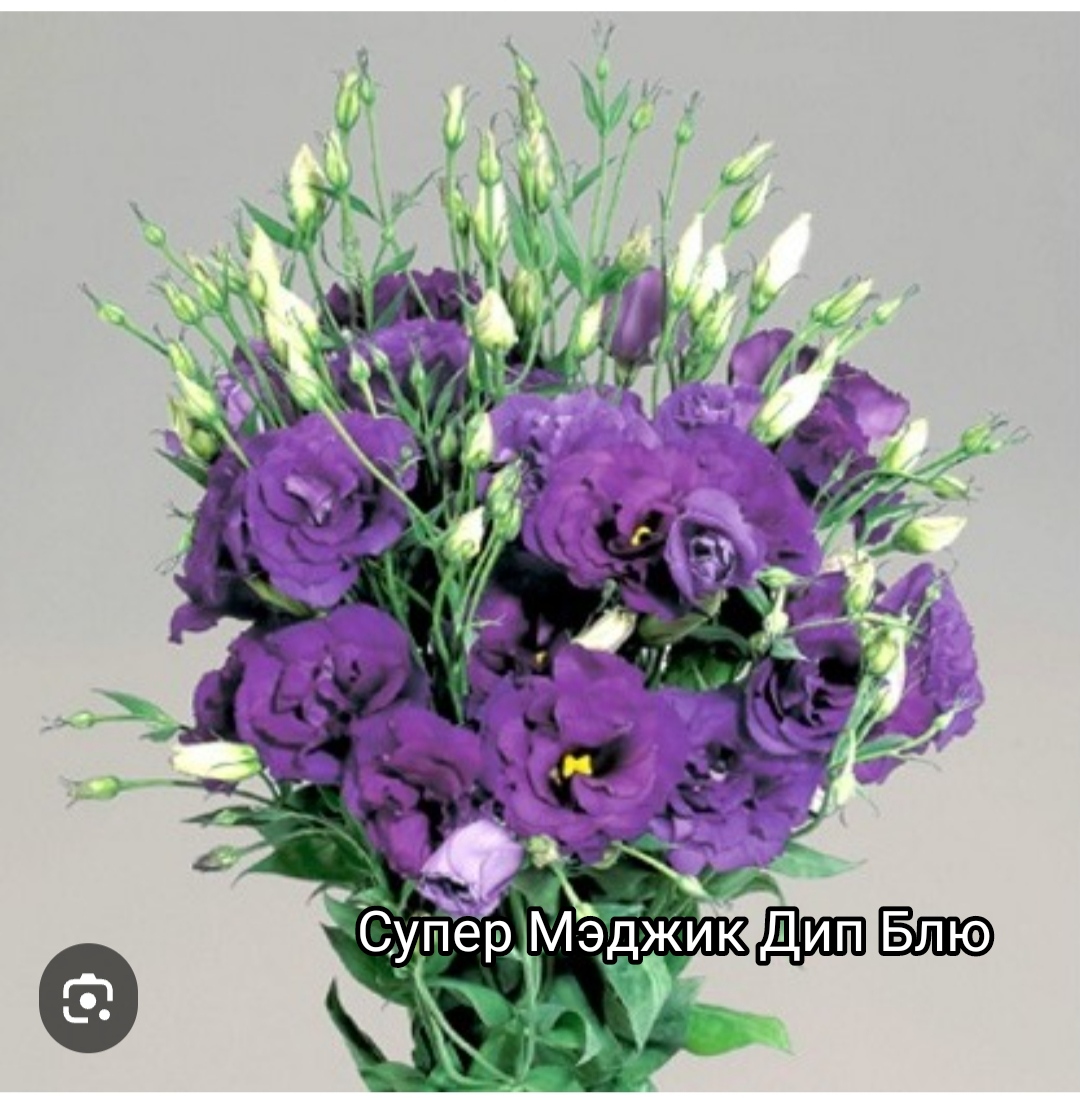 Супер Меджик Дип Блю ( 5 шт)