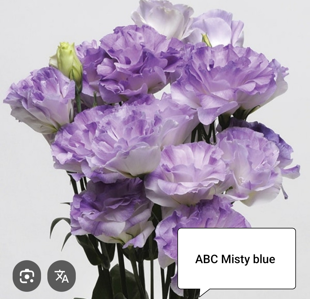 АБС Мисти Блю ( 5 шт)